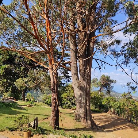 Villa La Maima Dapa Esterno foto